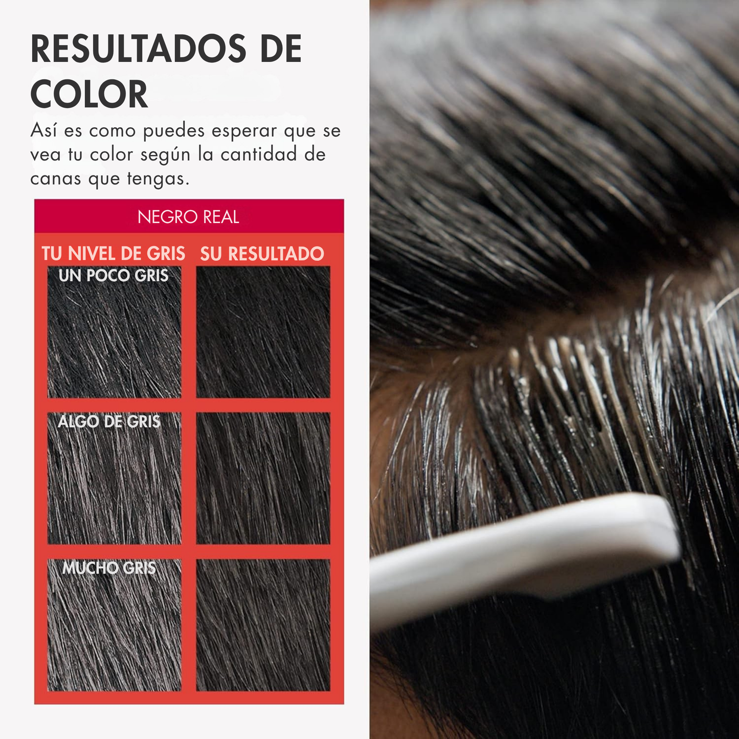 FRUITY CREAM - RETOCADOR DE CANAS CON ESTRACTO DE FRUTA